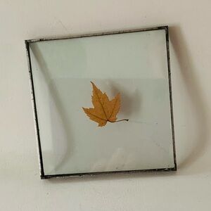 Vintage Dried And Pressed Leaf